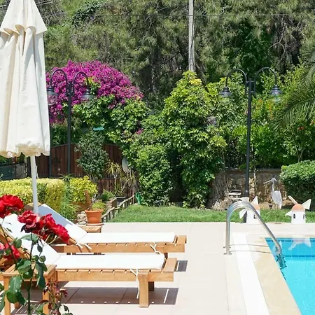 Dolphin Fethiye